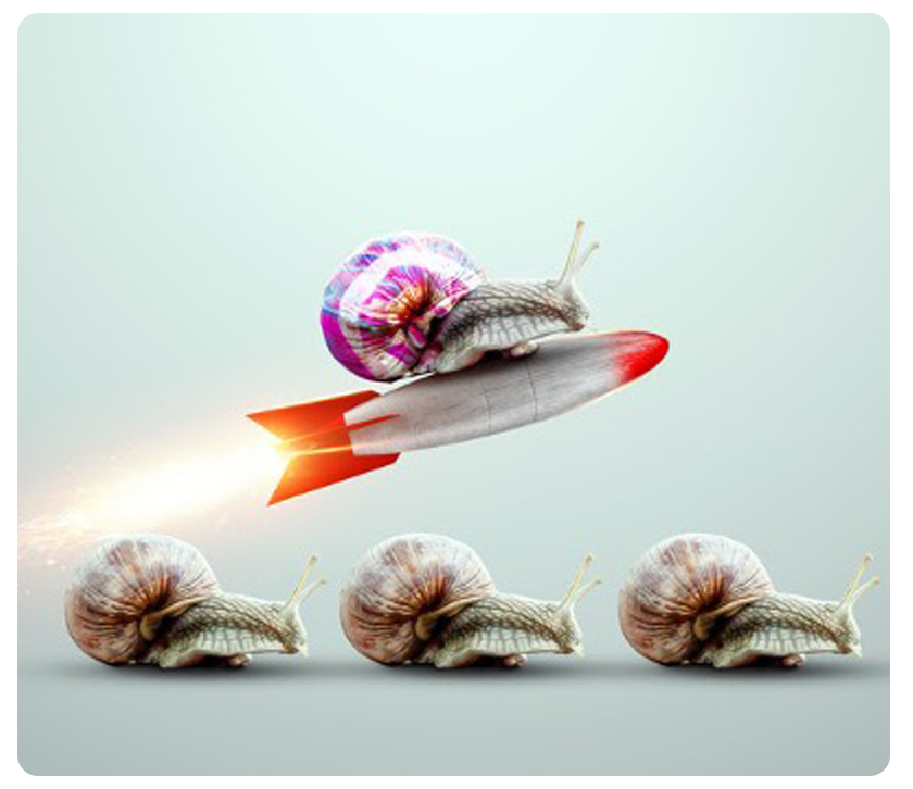 snail on a rocket
